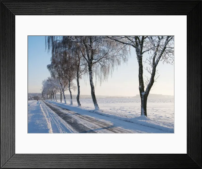 Framed Print : Winter landscape, Lower Saxony, Germany, Europe Framed Print : Winter landscape, Lower Saxony, Germany, Europe