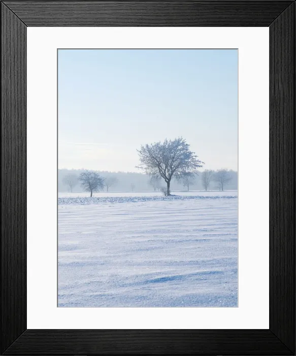 Framed Print : Winter landscape, Lower Saxony, Germany, Europe Framed Print : Winter landscape, Lower Saxony, Germany, Europe