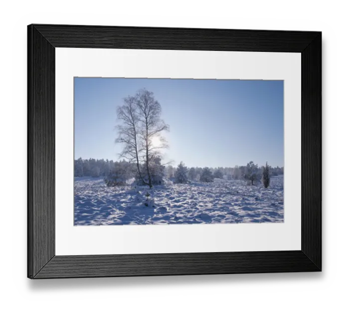 Framed Print : Winter landscape in the Lueneburg Heath, Lower Saxony, Germany, Europe Framed Print : Winter landscape in the Lueneburg Heath, Lower Saxony, Germany, Europe