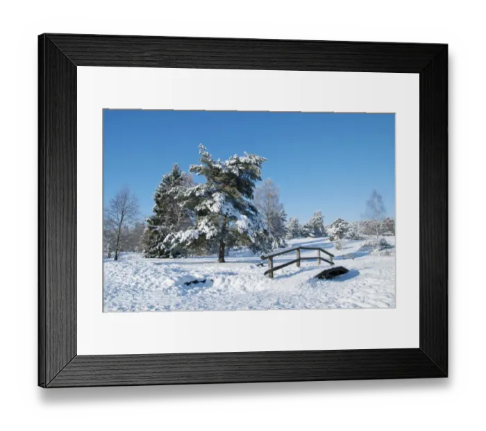 Framed Print : Winter landscape in the Lueneburg Heath, Lower Saxony, Germany, Europe Framed Print : Winter landscape in the Lueneburg Heath, Lower Saxony, Germany, Europe