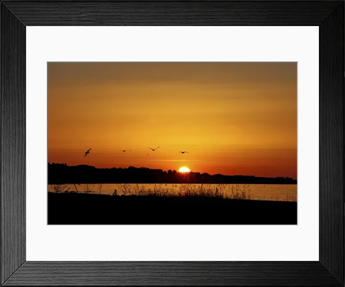 Framed Print : Sunset, Vir Island, Dalmatia, Croatia, Europe