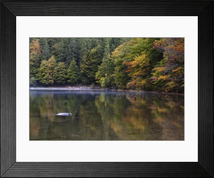Framed Print : Lake Feldsee with reflections and fog over the water, South Black Forest, Baden-Wuerttemberg, Germany, Europe Framed Print : Lake Feldsee with reflections and fog over the water, South Black Forest, Baden-Wuerttemberg, Germany, Europe