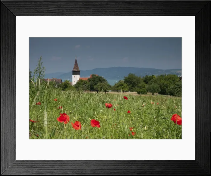 Framed Print : Grain field with poppies above Dingelsdorf on Lake Constance, St. Nicholas Church at the back, Baden-Wuerttemberg, Germany, Europe Framed Print : Grain field with poppies above Dingelsdorf on Lake Constance, St. Nicholas Church at the back, Baden-Wuerttemberg, Germany, Europe