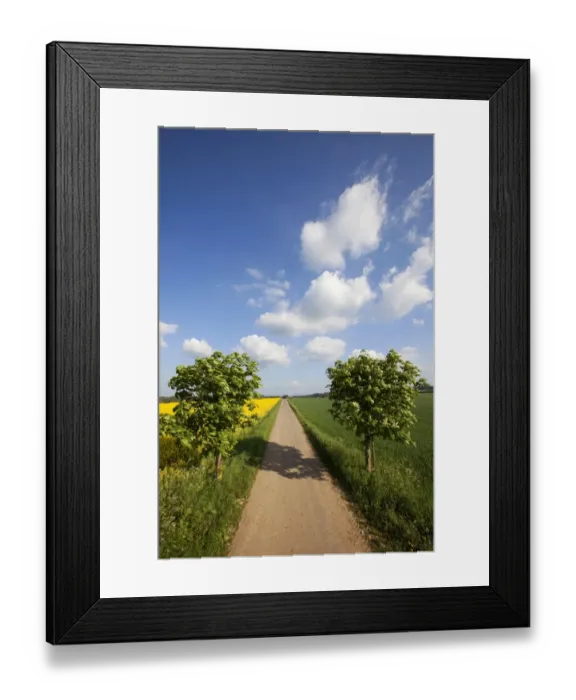 Framed Print : Landscape with road and cloud formations, Vulkan Eifel region, Rhineland-Palatinate, Germany, Europe Framed Print : Landscape with road and cloud formations, Vulkan Eifel region, Rhineland-Palatinate, Germany, Europe
