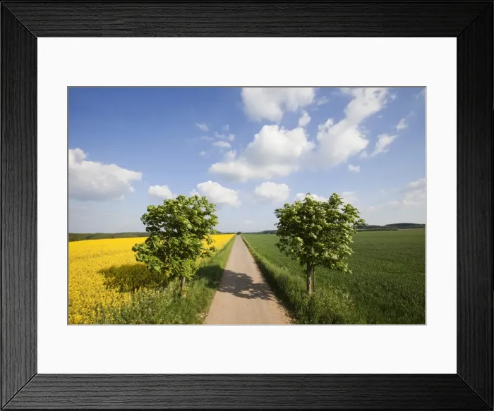 Framed Print : Landscape with road and cloud formations, Vulkan Eifel region, Rhineland-Palatinate, Germany, Europe Framed Print : Landscape with road and cloud formations, Vulkan Eifel region, Rhineland-Palatinate, Germany, Europe