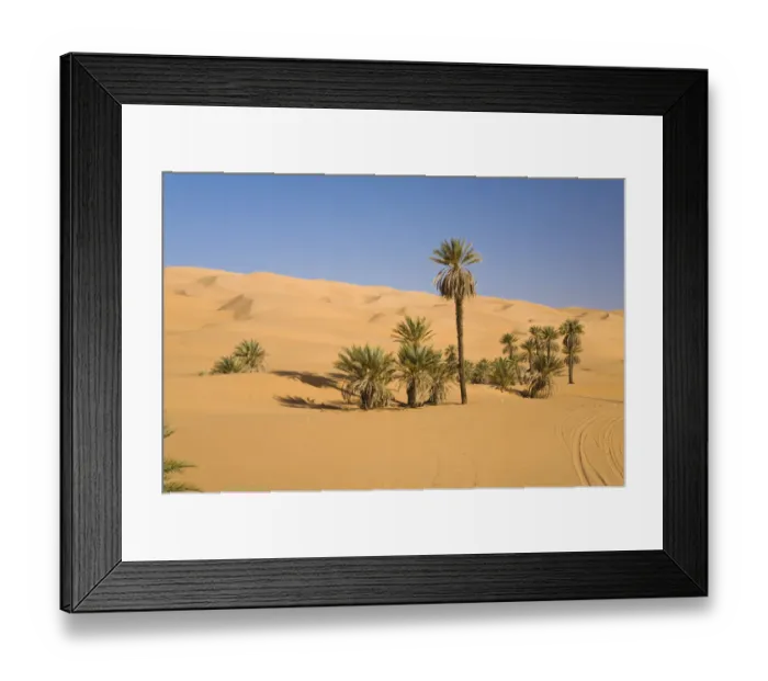 Framed Print : Date Palms (Phoenix spec. ), in the Libyan Desert, Um el Ma Oasis, Libya, Sahara, North Africa, Africa Framed Print : Date Palms (Phoenix spec. ), in the Libyan Desert, Um el Ma Oasis, Libya, Sahara, North Africa, Africa