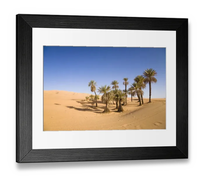 Framed Print : Date Palms (Phoenix spec. ), in the Libyan Desert, Um el Ma Oasis, Libya, Sahara, North Africa, Africa Framed Print : Date Palms (Phoenix spec. ), in the Libyan Desert, Um el Ma Oasis, Libya, Sahara, North Africa, Africa