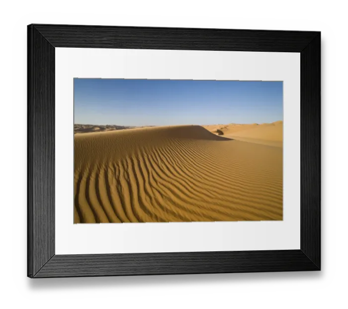 Framed Print : Sand dunes in the Libyan Desert, Sahara, Libya, North Africa, Africa Framed Print : Sand dunes in the Libyan Desert, Sahara, Libya, North Africa, Africa