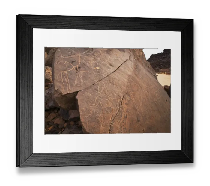 Framed Print : Stone engravings in the Libyan stone desert, elephants, Tassili Maridet, Libya, Sahara, North Africa Framed Print : Stone engravings in the Libyan stone desert, elephants, Tassili Maridet, Libya, Sahara, North Africa