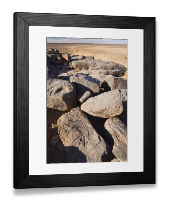 Framed Print : Stone engravings in stone desert, Libya, Sahara, North Africa Framed Print : Stone engravings in stone desert, Libya, Sahara, North Africa