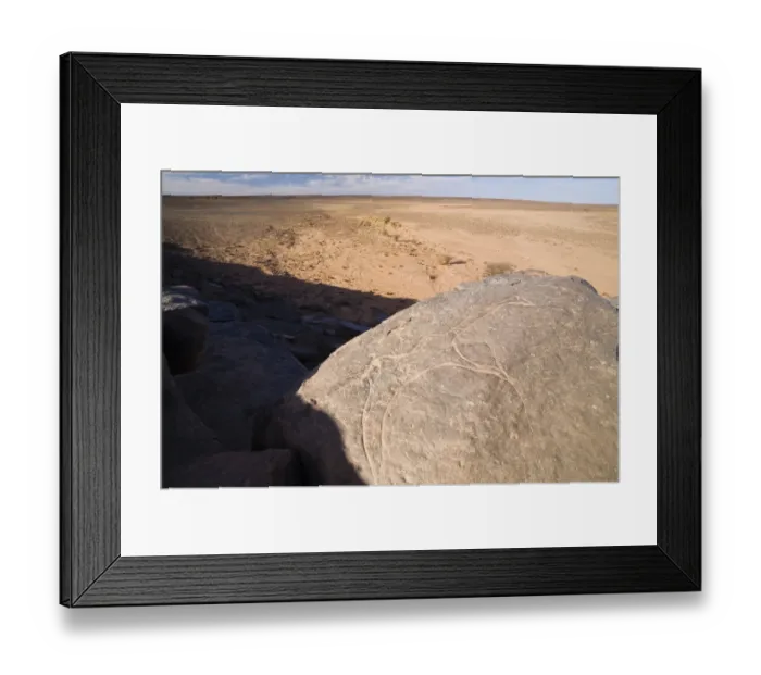 Framed Print : Stone engravings in stone desert, Libya, Sahara, North Africa Framed Print : Stone engravings in stone desert, Libya, Sahara, North Africa