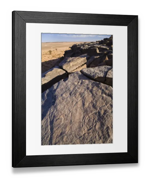 Framed Print : Stone engravings in stone desert, Libya, Sahara, North Africa Framed Print : Stone engravings in stone desert, Libya, Sahara, North Africa