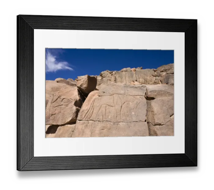 Framed Print : Rock engravings in the Wadi Mathendous, giraffe, Wadi Barjuj, stone desert, Libya, Sahara, North Africa, Africa