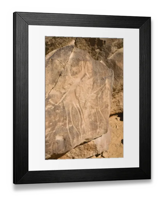 Framed Print : Rock engravings in the Wadi Mathendous, giraffe, Wadi Barjuj, stone desert, Libya, Sahara, North Africa, Africa Framed Print : Rock engravings in the Wadi Mathendous, giraffe, Wadi Barjuj, stone desert, Libya, Sahara, North Africa, Africa