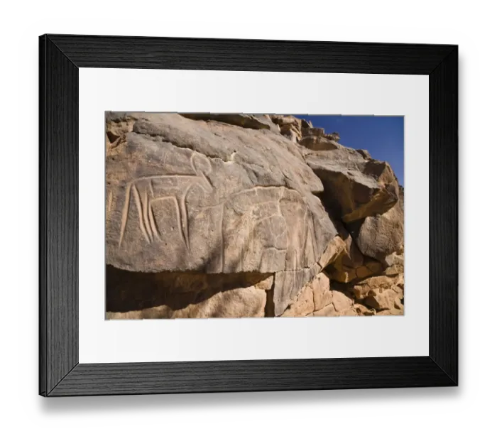 Framed Print : Rock engravings in the Wadi Mathendous, giraffe, Wadi Barjuj, stone desert, Libya, Sahara, North Africa, Africa Framed Print : Rock engravings in the Wadi Mathendous, giraffe, Wadi Barjuj, stone desert, Libya, Sahara, North Africa, Africa