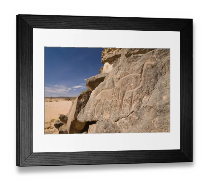 Framed Print : Rock engravings in the Wadi Mathendous, giraffe, Wadi Barjuj, stone desert, Libya, Sahara, North Africa, Africa Framed Print : Rock engravings in the Wadi Mathendous, giraffe, Wadi Barjuj, stone desert, Libya, Sahara, North Africa, Africa