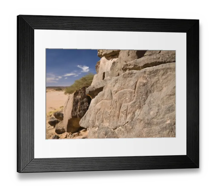 Framed Print : Rock engravings in the Wadi Mathendous, giraffe, Wadi Barjuj, stone desert, Libya, Sahara, North Africa, Africa Framed Print : Rock engravings in the Wadi Mathendous, giraffe, Wadi Barjuj, stone desert, Libya, Sahara, North Africa, Africa