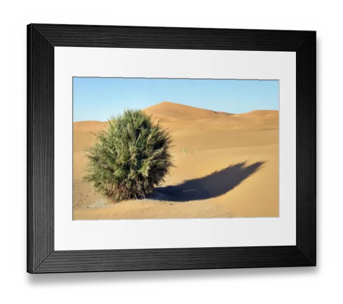 Framed Print : Sand dunes, Erg Chebbi, Morocco, Africa Framed Print : Sand dunes, Erg Chebbi, Morocco, Africa