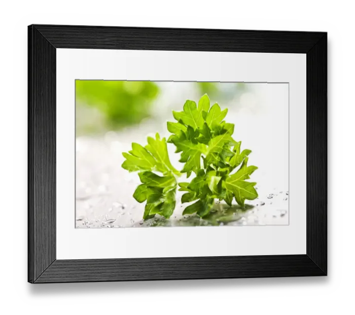 Framed Print : Parsley Framed Print : Parsley