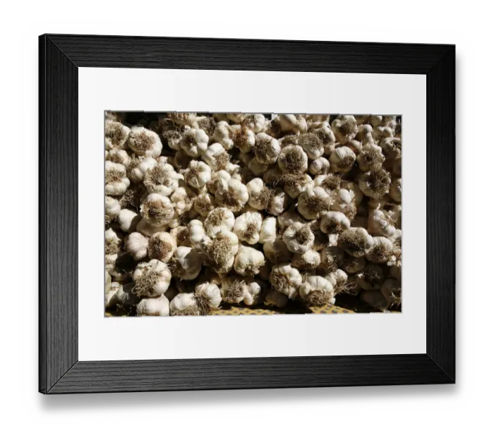 Framed Print : Garlic bulbs at a weekly market, Provence region, France, Europe Framed Print : Garlic bulbs at a weekly market, Provence region, France, Europe
