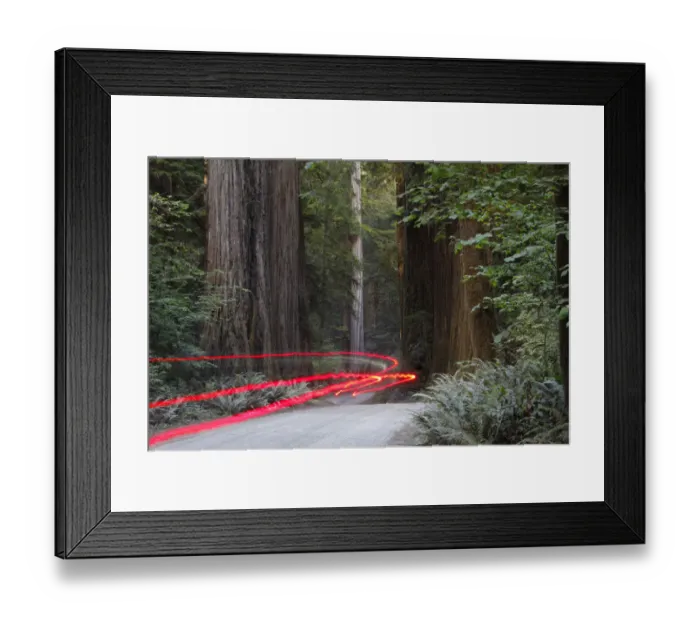 Framed Print : Car lights on a bumpy road, Jedediah Redwoods, California Coast, California, USA Framed Print : Car lights on a bumpy road, Jedediah Redwoods, California Coast, California, USA