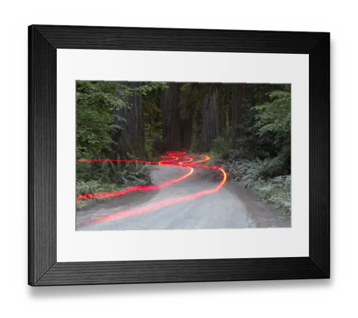 Framed Print : Car lights on a bumpy road, Jedediah Redwoods, California Coast, California, USA Framed Print : Car lights on a bumpy road, Jedediah Redwoods, California Coast, California, USA
