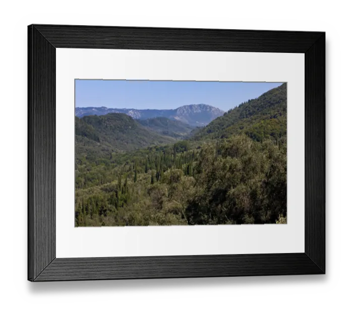 Framed Print : Olive trees and cypresses, Corfu Island, Ionian Islands, Greece, Southern Europe Framed Print : Olive trees and cypresses, Corfu Island, Ionian Islands, Greece, Southern Europe