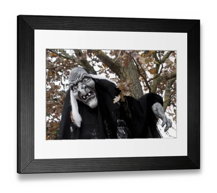 Framed Print : Witch figure, hanging from a tree, creepy, Walpurgis Night Framed Print : Witch figure, hanging from a tree, creepy, Walpurgis Night
