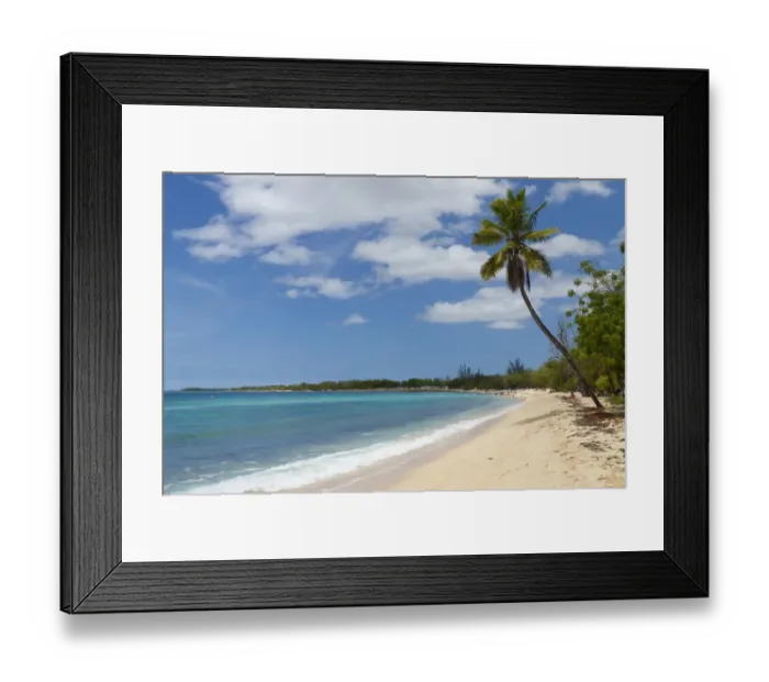 Framed Print : Palm tree on the Anse du Souffleur beach, Port-Louis, Grande-Terre, Guadeloupe island, French Antilles, Lesser Antilles, Caribbean Framed Print : Palm tree on the Anse du Souffleur beach, Port-Louis, Grande-Terre, Guadeloupe island, French Antilles, Lesser Antilles, Caribbean