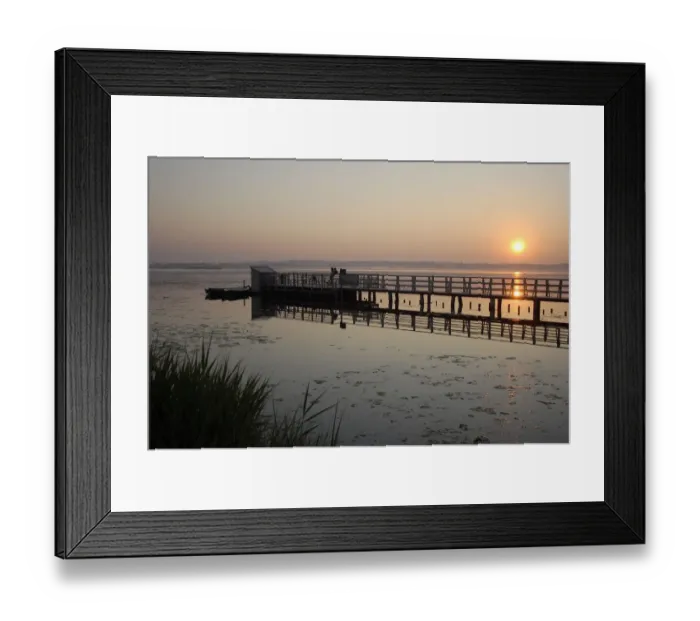 Framed Print : Sunrise at Federsee lake, sunrise, nature reserve, Biberach district, Upper Swabia, Baden-Wuerttemberg, Germany, Europe Framed Print : Sunrise at Federsee lake, sunrise, nature reserve, Biberach district, Upper Swabia, Baden-Wuerttemberg, Germany, Europe