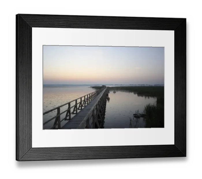 Framed Print : Federsee lake, morning mood, Federsee lake area, nature reserve near Bad Buchau, Biberach district, Upper Swabia, Baden-Wuerttemberg, Germany, Europe Framed Print : Federsee lake, morning mood, Federsee lake area, nature reserve near Bad Buchau, Biberach district, Upper Swabia, Baden-Wuerttemberg, Germany, Europe