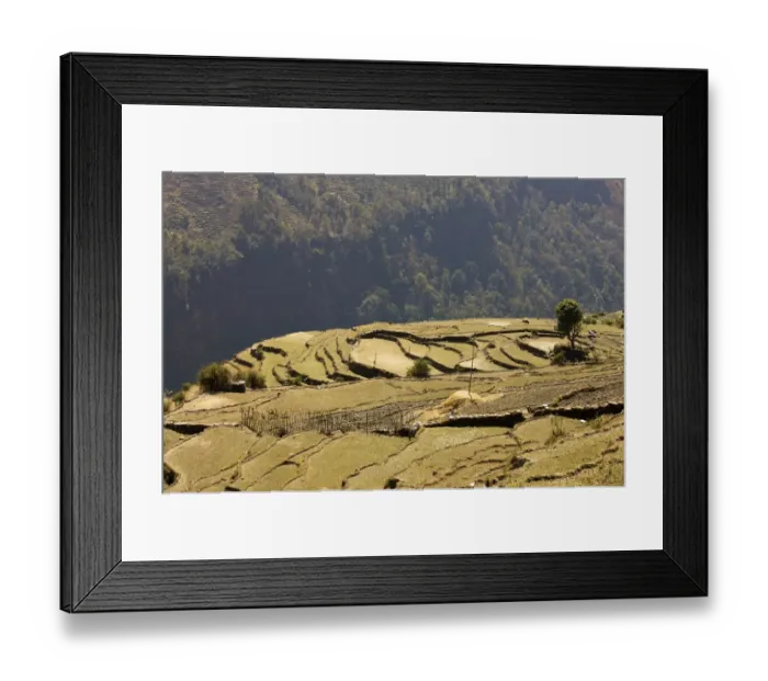 Framed Print : Cultivated landscape, rice fields layed out as terraces at the edge of an abyss, Annapurna Conservation Area, Nepal, Asia Framed Print : Cultivated landscape, rice fields layed out as terraces at the edge of an abyss, Annapurna Conservation Area, Nepal, Asia