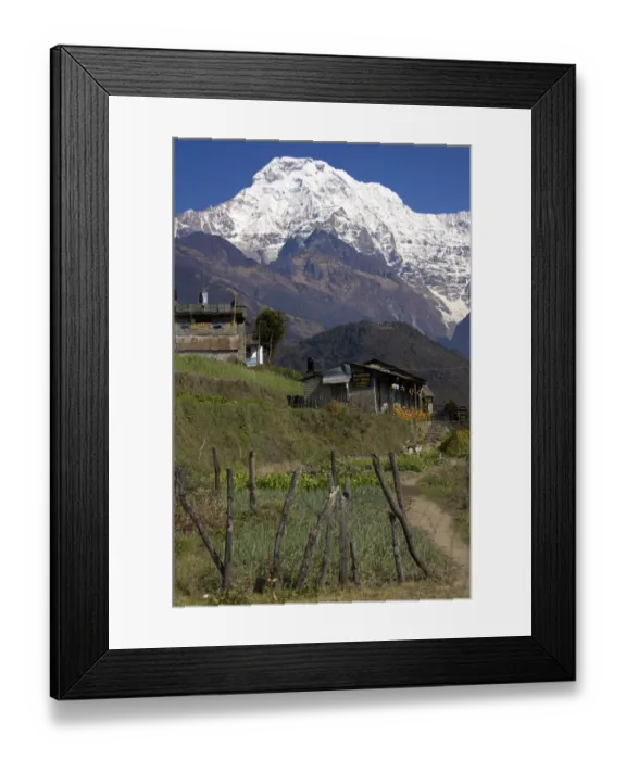 Framed Print : Snow-covered south flank of the Annapurna mountain, a village in the foreground, Annapurna Conservation Area, Nepal, Asia Framed Print : Snow-covered south flank of the Annapurna mountain, a village in the foreground, Annapurna Conservation Area, Nepal, Asia