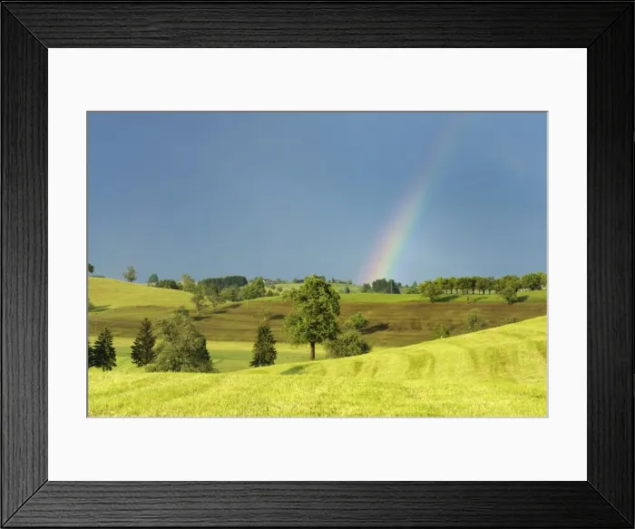 Framed Print : Cultural landscape in the Swiss Mittleland with a rainbow, Zug, Switzerland, Europe