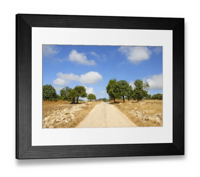 Framed Print : Straight path through the landscape, Carob Trees (Ceratonia siliqua), near Neo Chorio, Akamas, Southern Cyprus, Republic of Cyprus, Mediterranean Sea, Europe