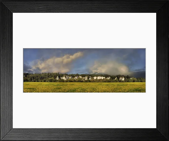 Framed Print : Rock formation twelve apostles with a dandelion meadow, Altmuehltal nature park, near Solnhofen, Bavaria, Germany, Europe Framed Print : Rock formation twelve apostles with a dandelion meadow, Altmuehltal nature park, near Solnhofen, Bavaria, Germany, Europe