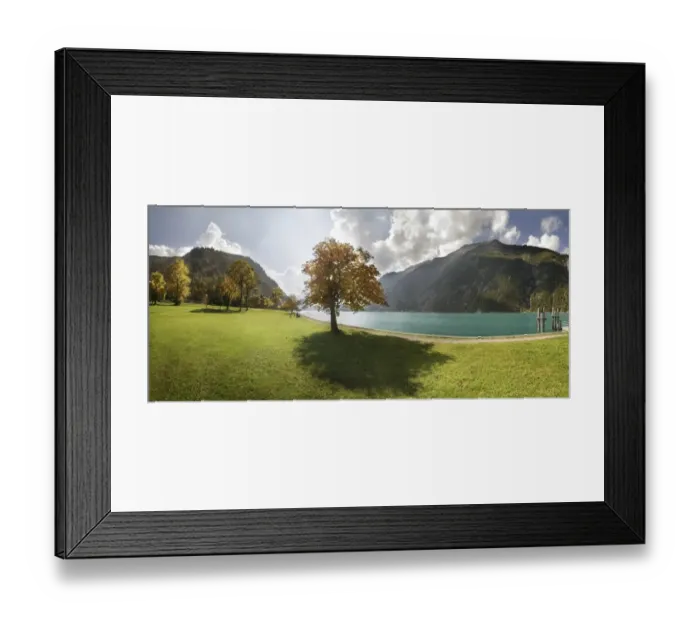 Framed Print : Autumn at Lake Achensee near Achen Church with a maple tree on a green meadow, backlighting, Achensee, Tyrol, Austria, Europe Framed Print : Autumn at Lake Achensee near Achen Church with a maple tree on a green meadow, backlighting, Achensee, Tyrol, Austria, Europe