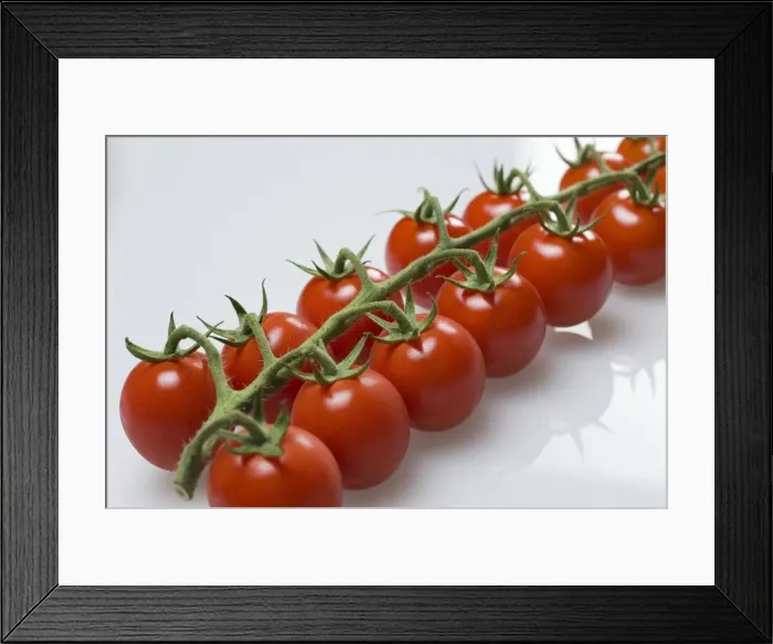 Framed Print : French vine tomatoes Framed Print : French vine tomatoes