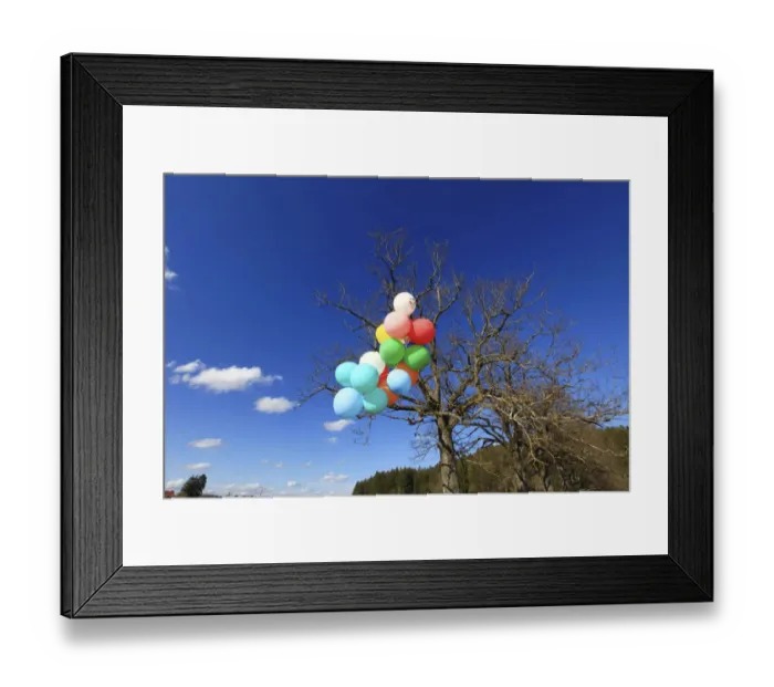 Framed Print : Many colourful balloons in a green landscape, Allgaeu, Germany, Europe Framed Print : Many colourful balloons in a green landscape, Allgaeu, Germany, Europe