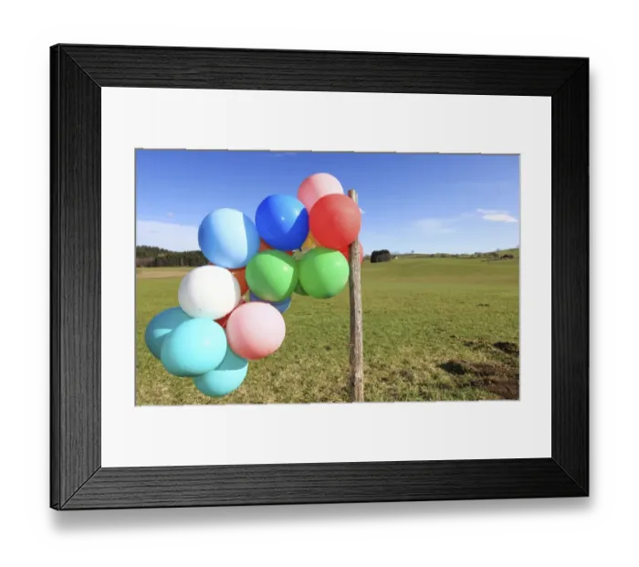 Framed Print : Many colourful balloons in a green landscape, Allgaeu, Germany, Europe Framed Print : Many colourful balloons in a green landscape, Allgaeu, Germany, Europe