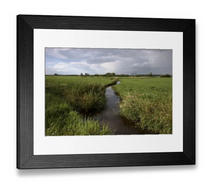Framed Print : Wuemmewiesen nature reserve, Bremen, Germany, Europe Framed Print : Wuemmewiesen nature reserve, Bremen, Germany, Europe
