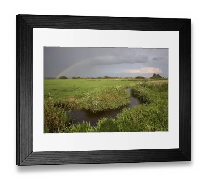 Framed Print : Small creek with rainbow, Wuemmewiesen nature reserve, Bremen, Germany, Europe Framed Print : Small creek with rainbow, Wuemmewiesen nature reserve, Bremen, Germany, Europe
