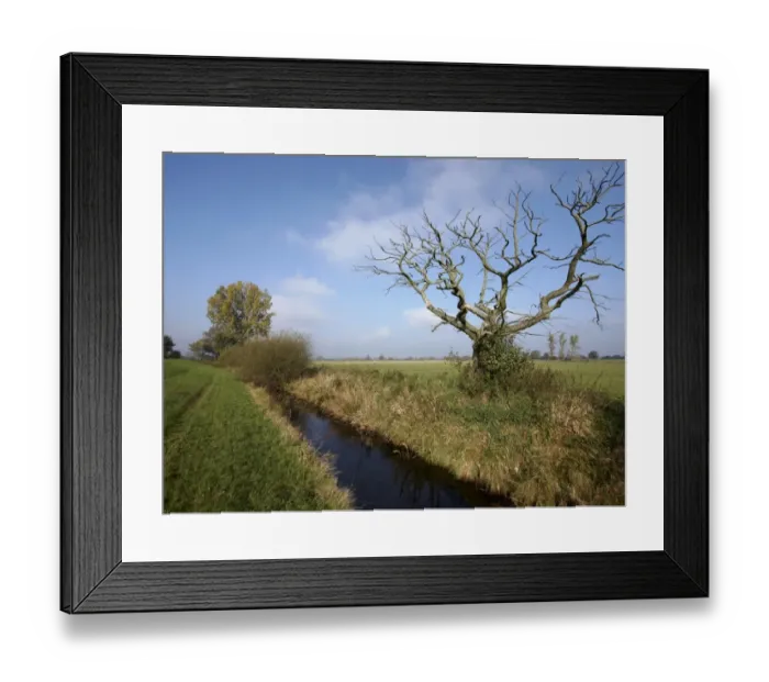 Framed Print : Wuemmewiesen nature reserve, Bremen, Germany, Europe Framed Print : Wuemmewiesen nature reserve, Bremen, Germany, Europe