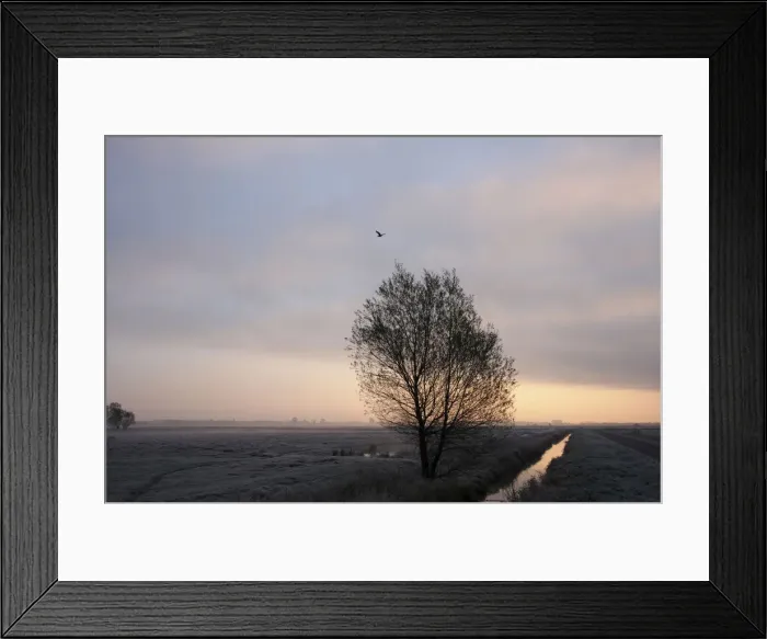 Framed Print : Morning fog, Wuemmewiesen nature reserve, Bremen, Germany, Europe Framed Print : Morning fog, Wuemmewiesen nature reserve, Bremen, Germany, Europe
