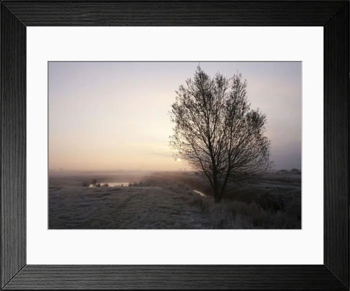 Framed Print : Pond in the morning mist, Wuemmewiesen nature reserve, Bremen, Germany, Europe Framed Print : Pond in the morning mist, Wuemmewiesen nature reserve, Bremen, Germany, Europe