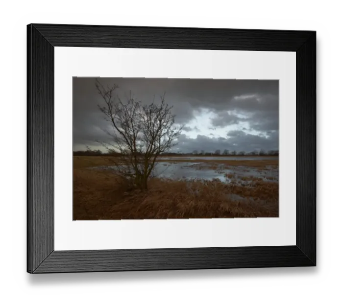 Framed Print : Flooded meadows, Wuemmewiesen nature reserve, Bremen, Germany, Europe Framed Print : Flooded meadows, Wuemmewiesen nature reserve, Bremen, Germany, Europe