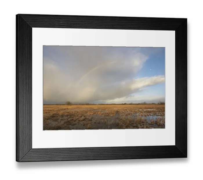 Framed Print : Flooded meadows with rainbow, Wuemmewiesen nature reserve, Bremen, Germany, Europe Framed Print : Flooded meadows with rainbow, Wuemmewiesen nature reserve, Bremen, Germany, Europe