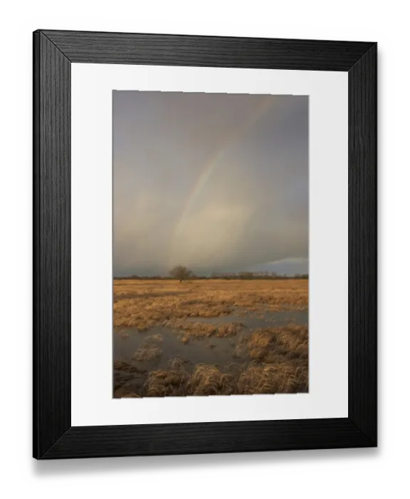 Framed Print : Flooded meadows with rainbow, Wuemmewiesen nature reserve, Bremen, Germany, Europe Framed Print : Flooded meadows with rainbow, Wuemmewiesen nature reserve, Bremen, Germany, Europe