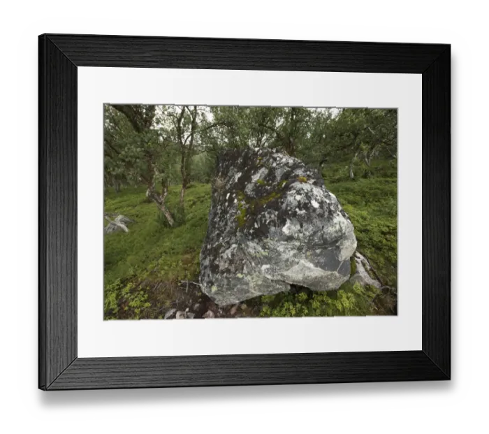 Framed Print : Large glacial erratic, Lofoten, Norway, Scandinavia, Europe Framed Print : Large glacial erratic, Lofoten, Norway, Scandinavia, Europe
