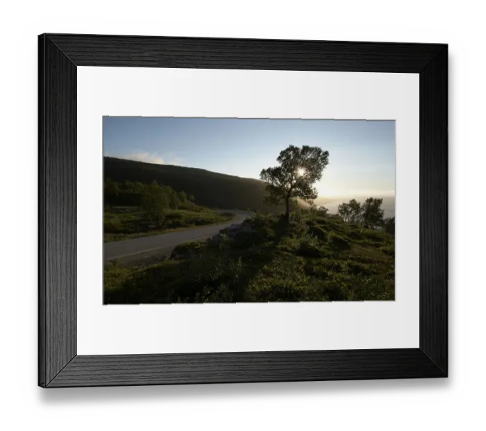 Framed Print : Harstad, VesterAzAalen, northern Norway, Scandinavia, Europe Framed Print : Harstad, VesterAzAalen, northern Norway, Scandinavia, Europe